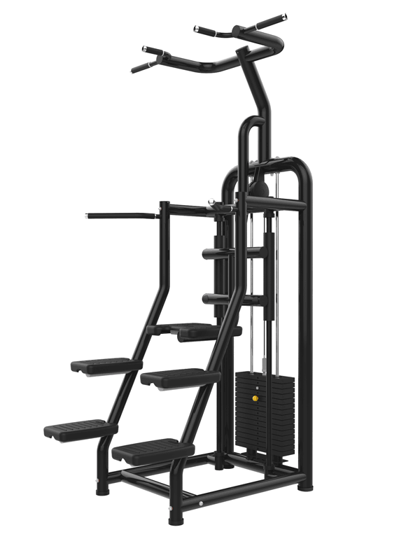 Muscle D Fitness Vogue Assisted Chin / Dip Machine