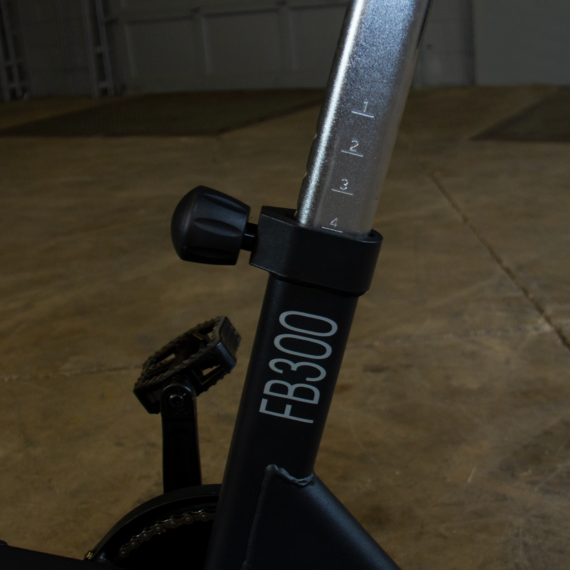 Endurance by Body-Solid FB300B Fan Bike