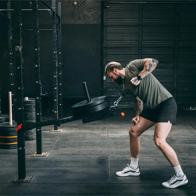 Fringe Sport Mammoth Belt Squat with Belt