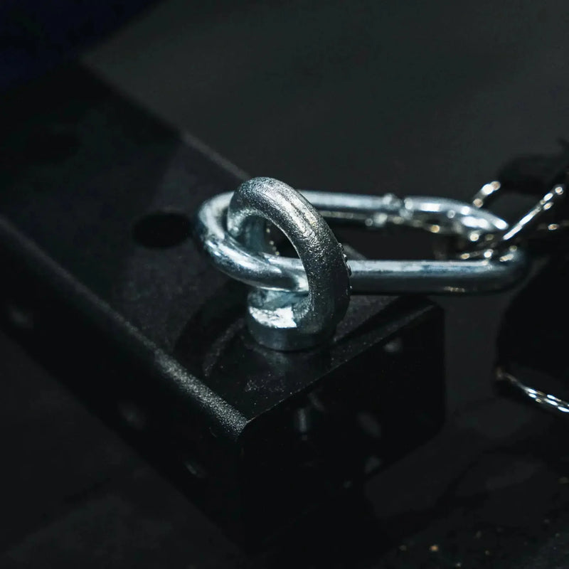 Fringe Sport Mammoth Belt Squat with Belt