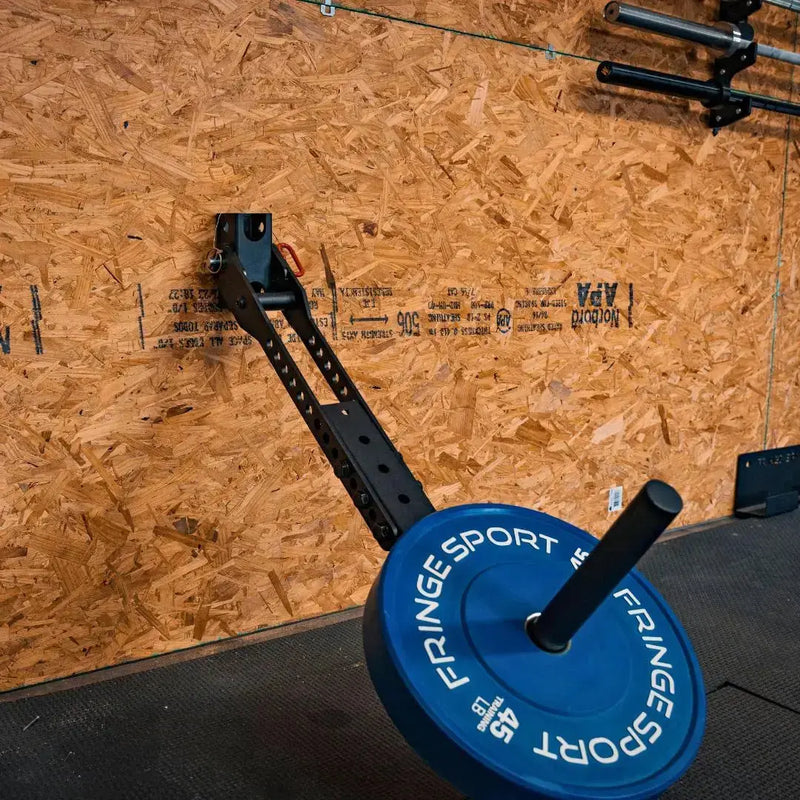 Fringe Sport Mammoth Belt Squat with Belt