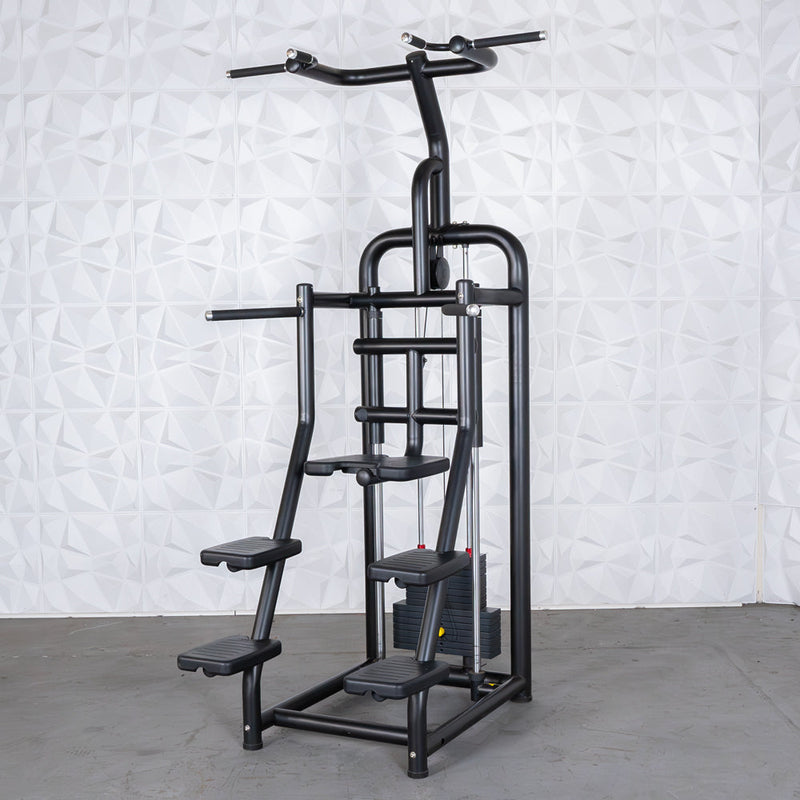 Muscle D Fitness Vogue Assisted Chin / Dip Machine